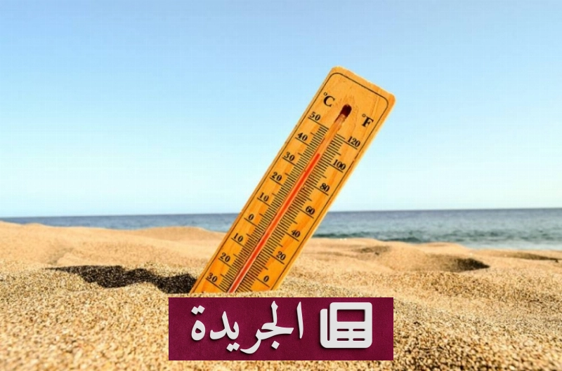 ارتفاع درجات حرارة البحار الأوروبية يهدد النظم البيئية - آخر الأخبار - الجريدة