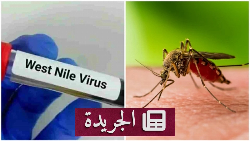 ارتفاع حصيلة وفيات فيروس غرب النيل في اليونان إلى 13 وفاة منذ بداية العام - آخر أخبار الجريدة
