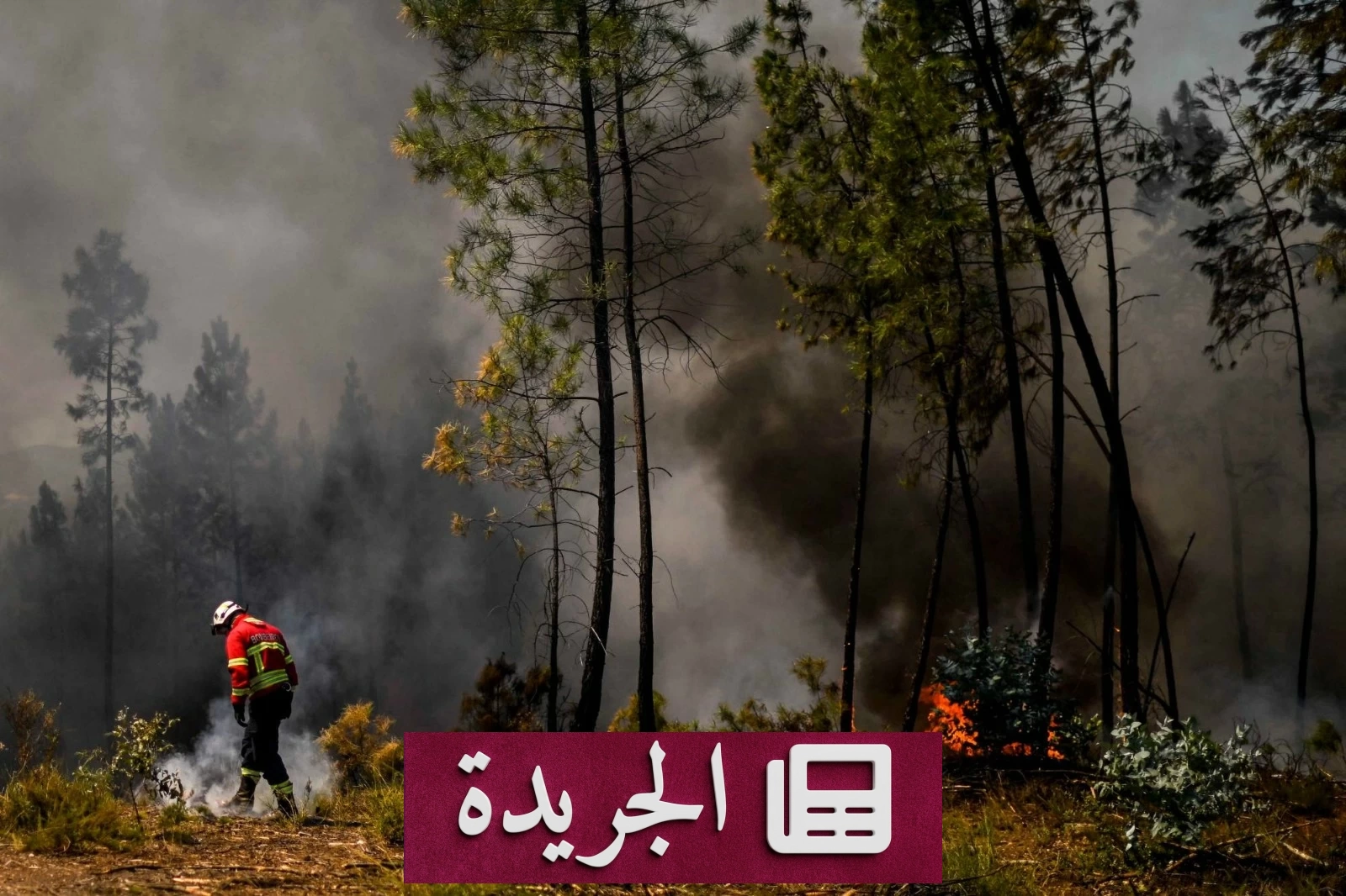 ارتفاع خطر حرائق الغابات إلى أقصى مستوى في مناطق بالبرتغال بسبب موجة الحر - آخر أخبار الجريدة