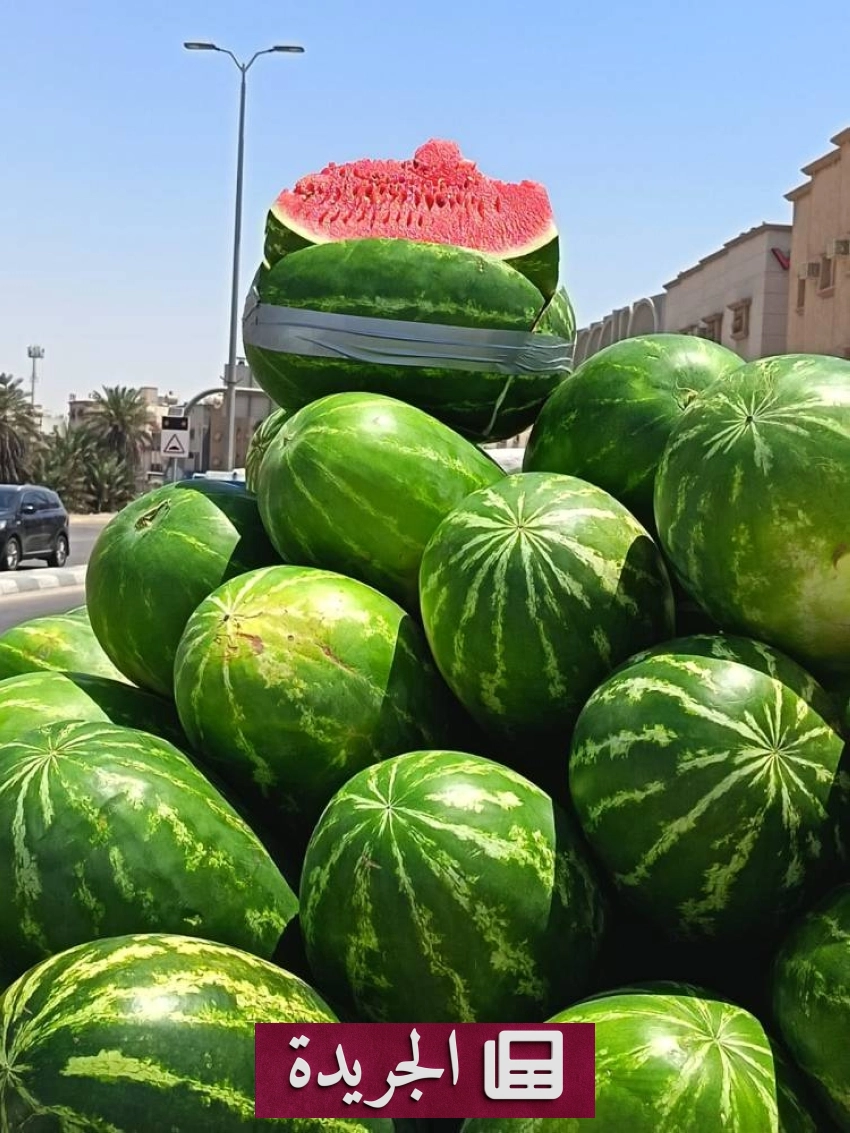 ارتفاع ملحوظ في أسعار الحبحب مع اشتداد حرارة الصيف في الأحساء - آخر الأخبار - الجريدة