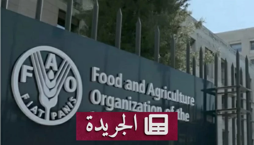 ارتفاع متوقع لأسعار الغذاء عالمياً بسبب الحرب والنينيو - آخر أخبار الجريدة