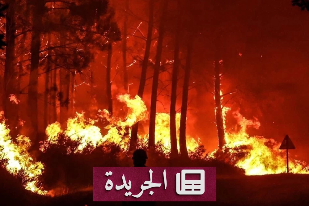 إسبانيا تُجلي 12 قرية بسبب حريق غابات يهدد البرتغال - آخر الأخبار - الجريدة