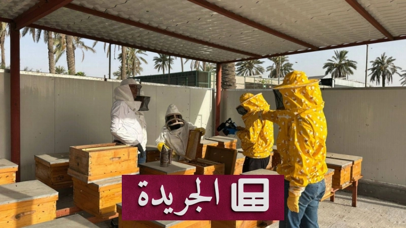 اشتراكك في النشرة الإخبارية اليومية أصبح متاحاً الآن - آخر الأخبار - الجريدة