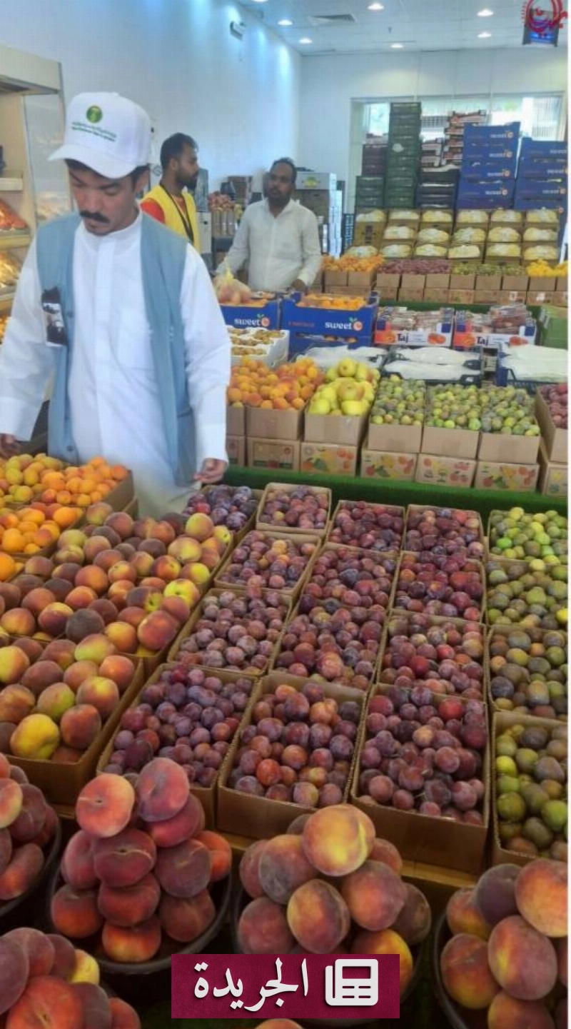 اشتراكك في النشرة الإخبارية اليومية أصبح متاحاً الآن - آخر الأخبار - الجريدة