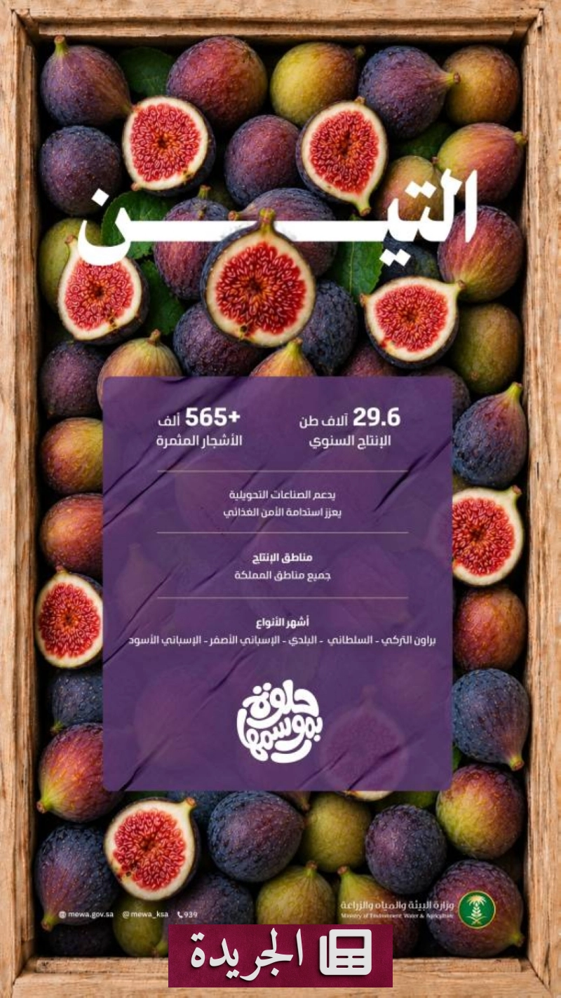 اشتراكك في النشرة الإخبارية اليومية أصبح متاحاً الآن - آخر الأخبار - الجريدة