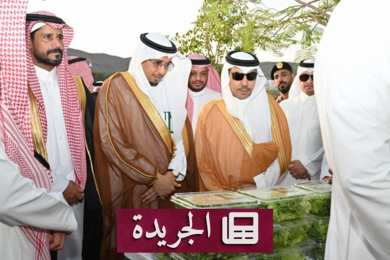 اشتراكك في النشرة الإخبارية اليومية أصبح متاحاً الآن - آخر الأخبار - الجريدة