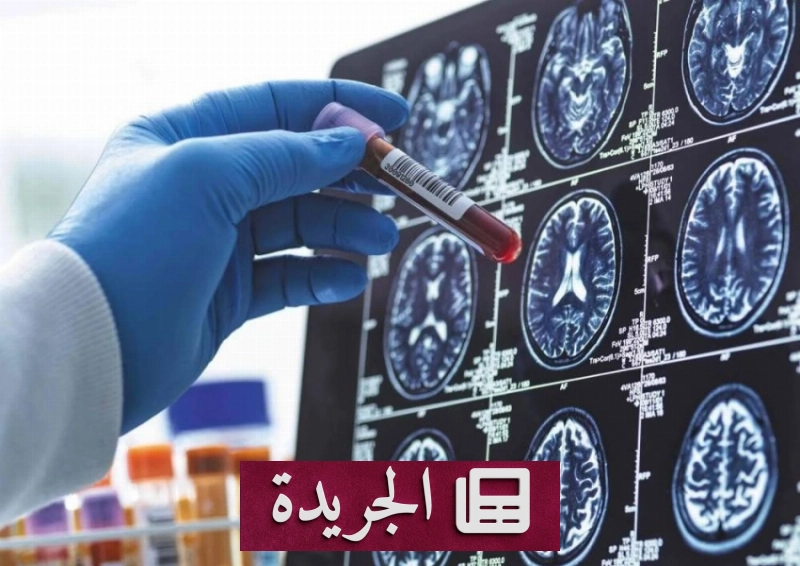 اشتراكك في النشرة الإخبارية اليومية أصبح متاحاً الآن - آخر الأخبار - الجريدة