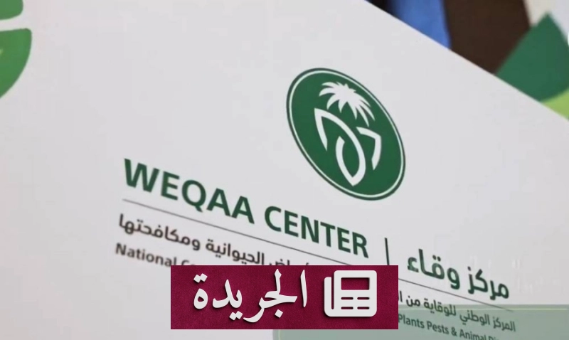 اشتراكك في النشرة الإخبارية اليومية أصبح متاحاً الآن - آخر الأخبار - الجريدة