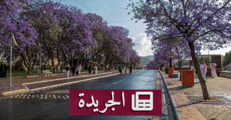 اشتراكك في النشرة الإخبارية اليومية خطوة نحو المعرفة المستمرة - آخر الأخبار - الجريدة