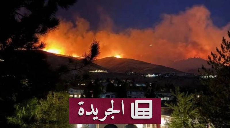 اشترك الآن بالنشرة الإخبارية اليومية عبر بريدك الإلكتروني - آخر الأخبار - الجريدة