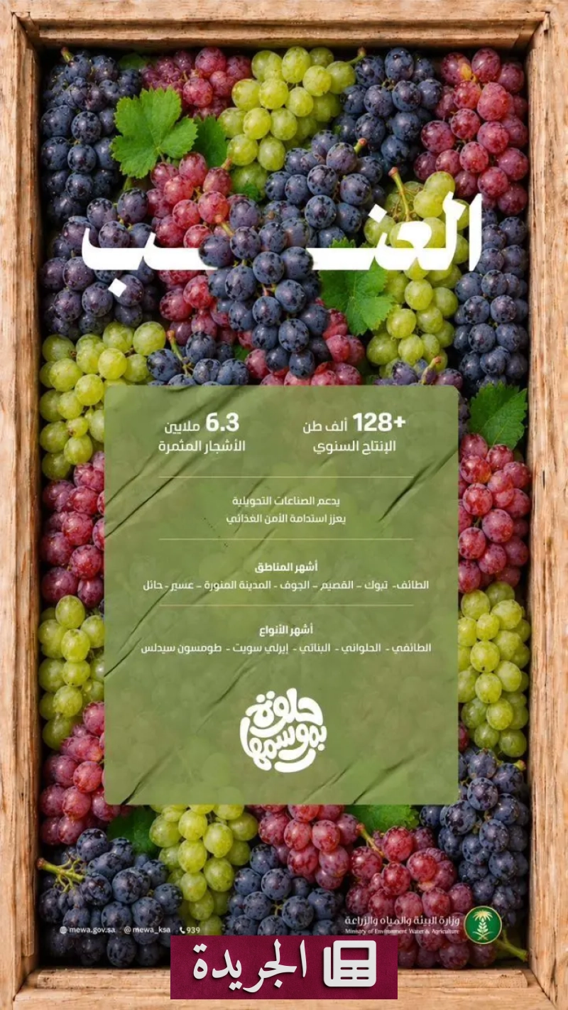 اشترك الآن في النشرة الإخبارية اليومية - آخر الأخبار - الجريدة