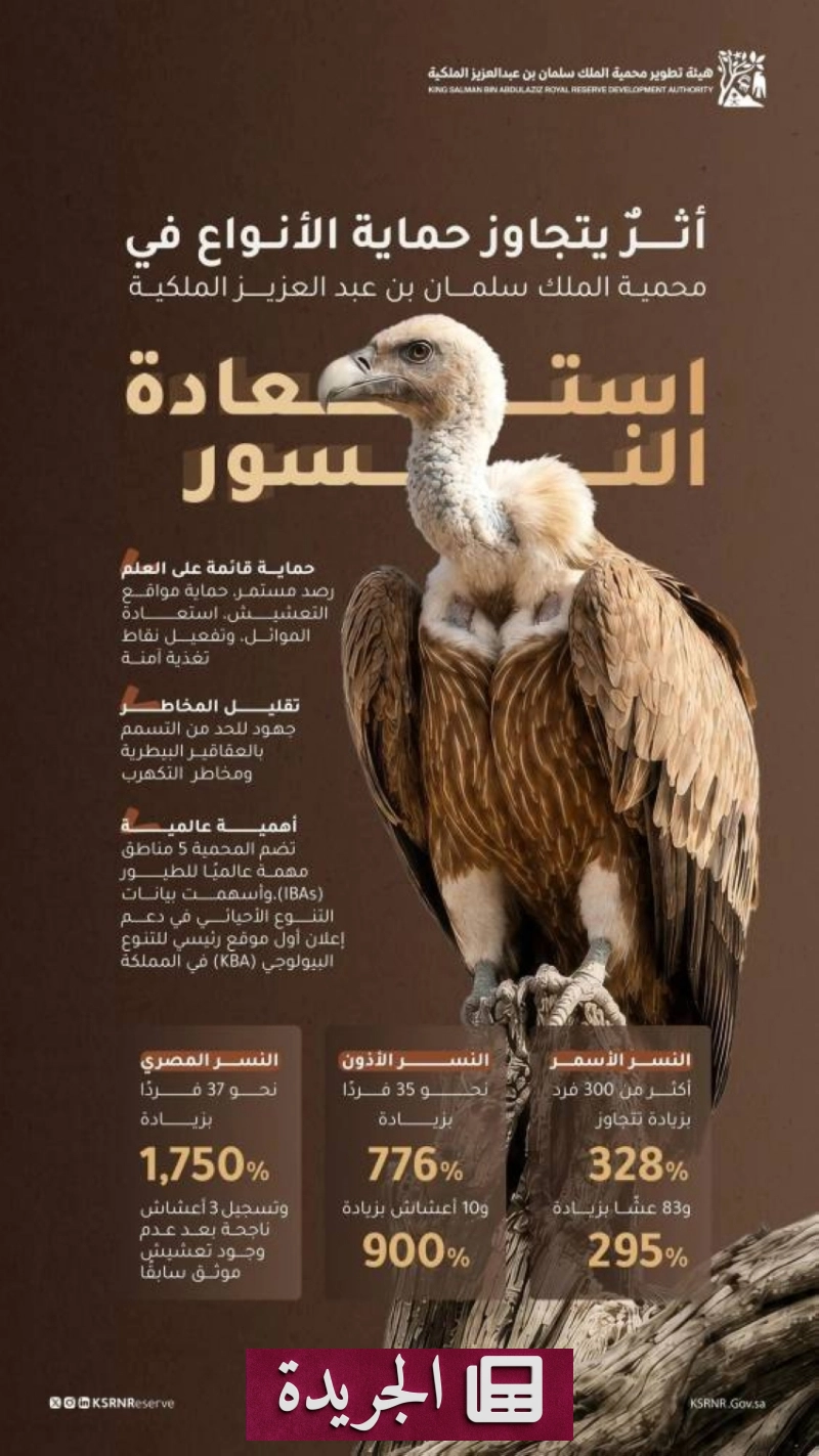 اشترك الآن في النشرة الإخبارية اليومية - آخر الأخبار - الجريدة