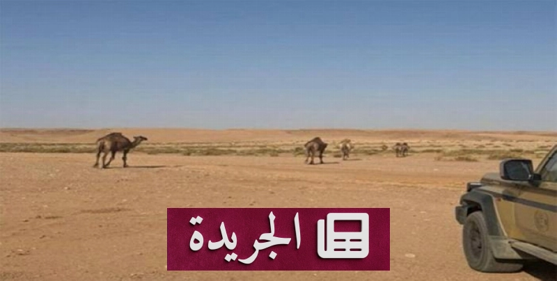 اشترك الآن في النشرة الإخبارية اليومية عبر بريدك الإلكتروني - آخر الأخبار - الجريدة