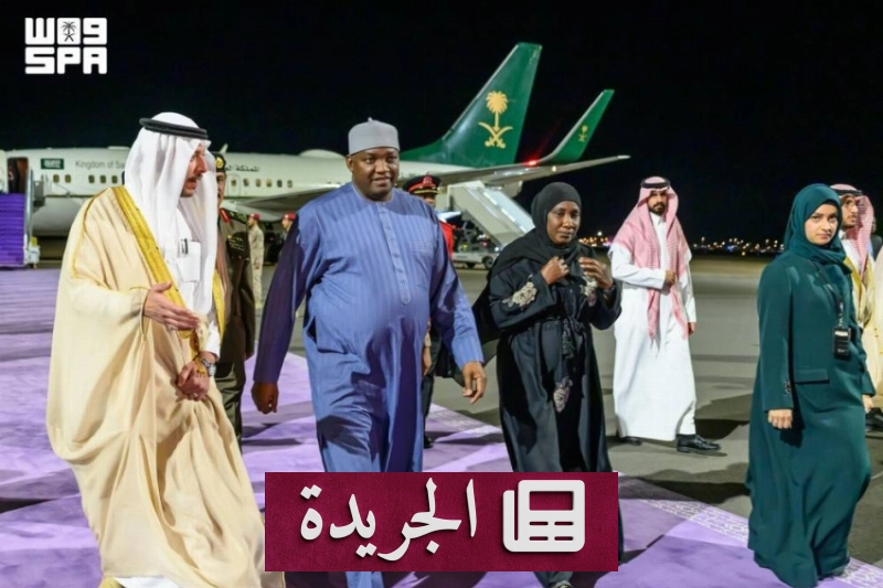 صورة توضح كيفية الاشتراك في النشرة الإخبارية اليومية عبر البريد الإلكتروني