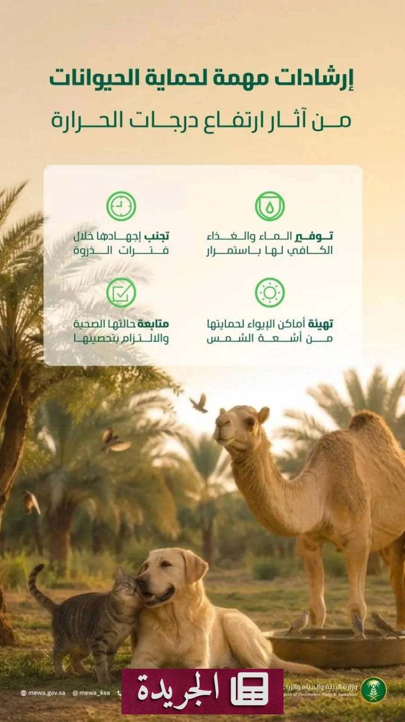 اشترك الآن في النشرة الإخبارية اليومية عبر بريدك الإلكتروني - آخر الأخبار - الجريدة