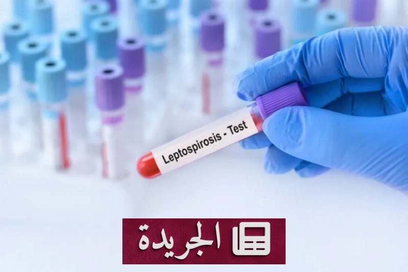 اشترك الآن في النشرة الإخبارية اليومية عبر بريدك الإلكتروني - آخر الأخبار - الجريدة