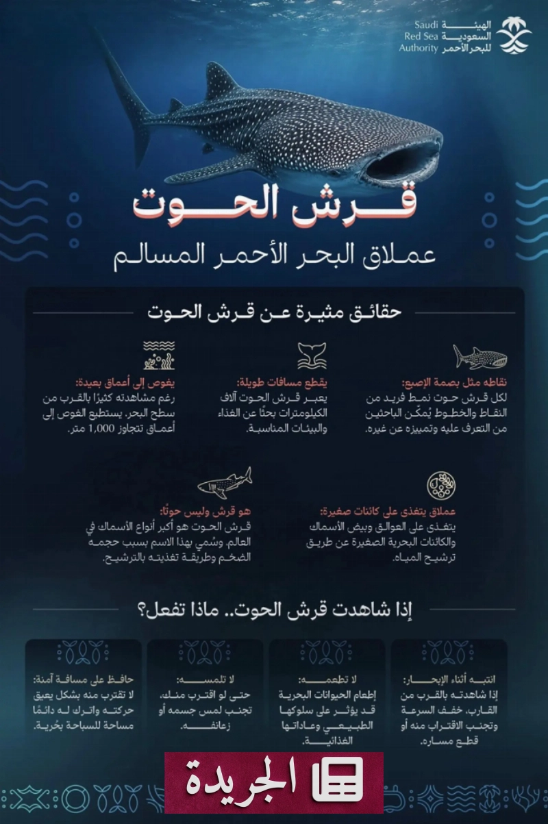 اشترك الآن في النشرة الإخبارية اليومية عبر بريدك الإلكتروني - آخر أخبار الجريدة