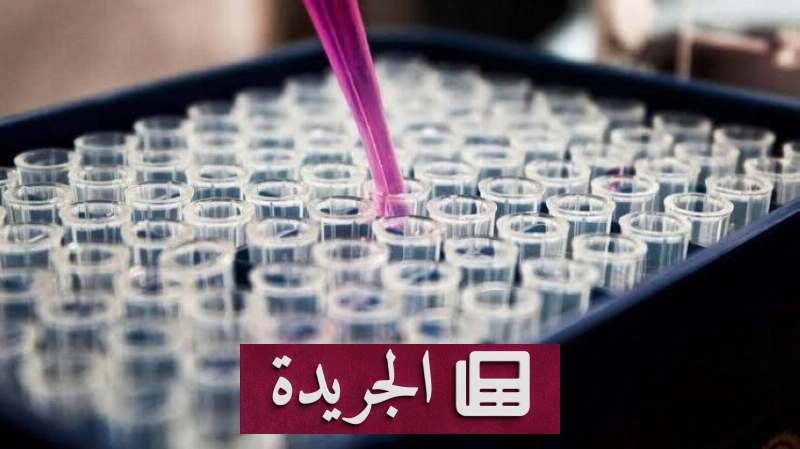 اشترك الآن في النشرة الإخبارية اليومية عبر بريدك الإلكتروني - آخر أخبار الجريدة