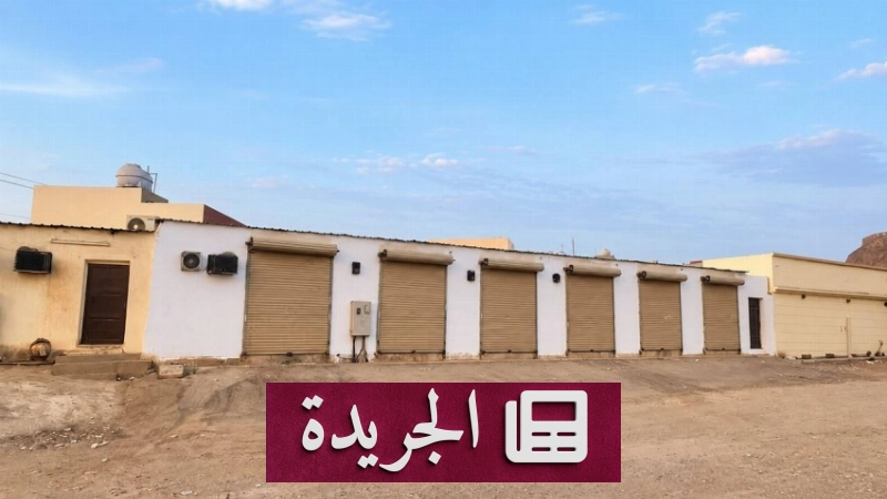 اشترك الآن في النشرة الإخبارية اليومية عبر بريدك الإلكتروني - آخر الأخبار - الجريدة