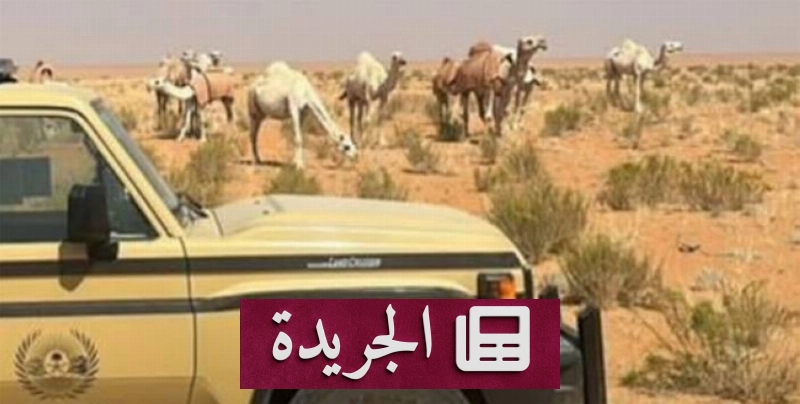 اشتركوا بالنشرة الإخبارية اليومية عبر بريدكم الإلكتروني - آخر أخبار الجريدة