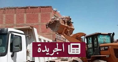**أسوان ترفع 80 طناً من القمامة: كيف تتحول زهرة الجنوب إلى نموذج نظافة؟** - أخبار أونلاين