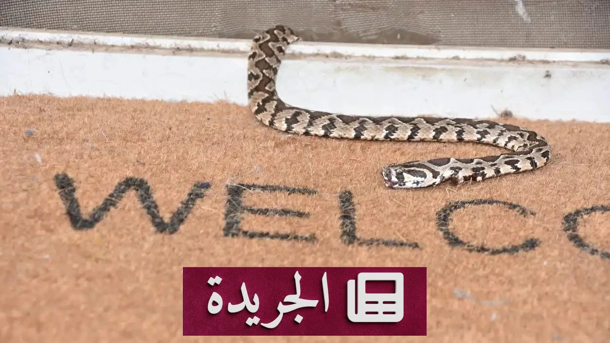 أسترالية تصدم بظهور ثعبان عملاق في حمام منزلها - آخر الأخبار - الجريدة