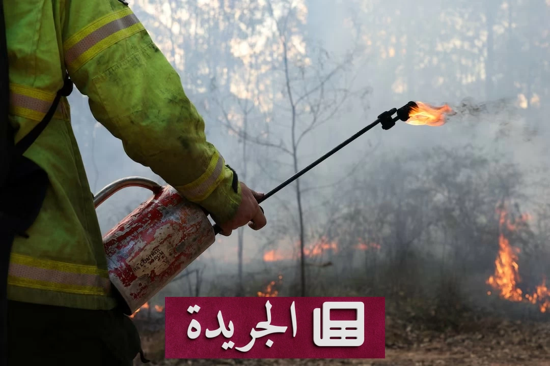 أستراليا تستعد لموسم حرائق الغابات amidst ارتفاع درجات الحرارة - آخر الأخبار - الجريدة