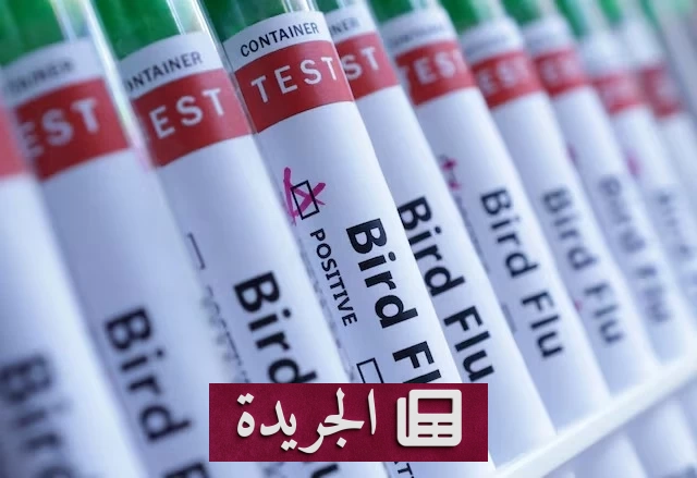 أستراليا تتخذ إجراءات صارمة بعد تسجيل ثاني إصابة بأنفلونزا الطيور H5N1 - آخر الأخبار - الجريدة