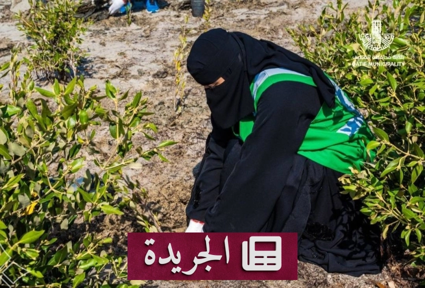بلدية القطيف تطلق مبادرة تشجير غابات المانجروف بمشاركة 35 متطوعاً - أخبار أونلاين