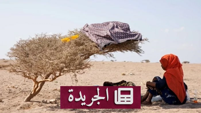 بورتسودان تحت نيران الحر.. 50 درجة وضغط خدمات مدمّر - آخر الأخبار - الجريدة