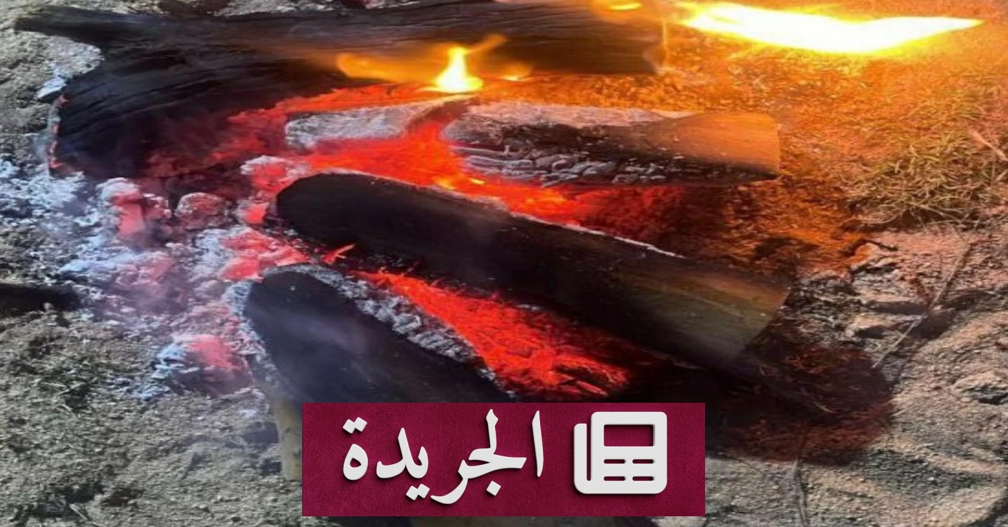 ضبط مخالف بيئي بإشعال نار في مناطق الغطاء النباتي بعسير - آخر الأخبار - الجريدة