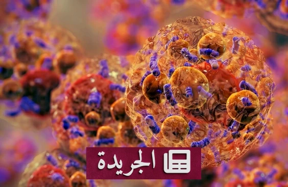 دواء جديد يحفز حرق الدهون بنسبة 18% دون مجهود أو حرمان من الطعام - آخر أخبار الجريدة
