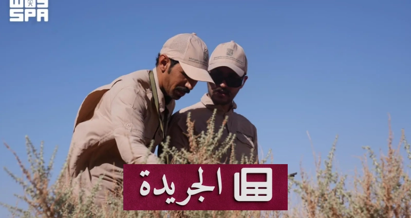 دور الجوالين في حماية الأنظمة البيئية والموارد الطبيعية - آخر الأخبار - الجريدة