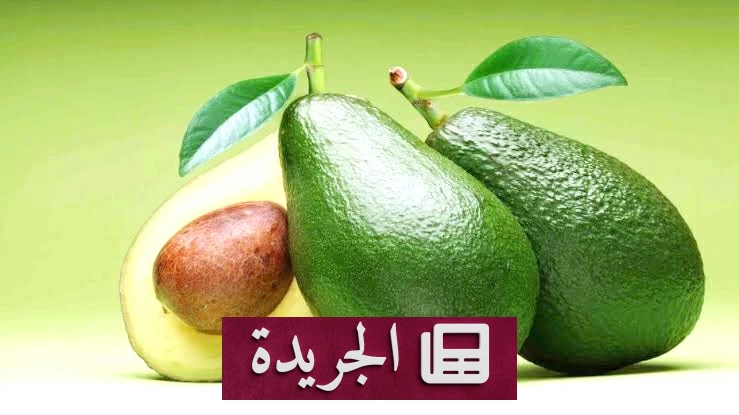 صورة توضح فوائد الأفوكادو الصحية لصحة القلب والشعور بالشبع وامتصاص العناصر الغذائية