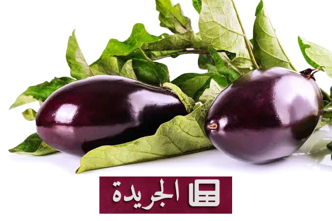 فوائد الباذنجان الصحية التي لا تعرفها - آخر أخبار الجريدة