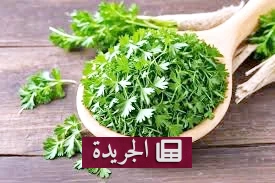 فوائد البقدونس الصحية التي لا تعرفها - آخر أخبار الجريدة