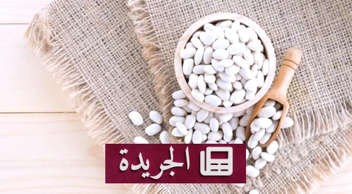 فوائد الفاصوليا الصحية والغذائية لا تتوقف - آخر الأخبار - الجريدة