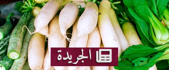 فوائد الفجل الصحية لا تقتصر على النكهة فقط - آخر أخبار الجريدة