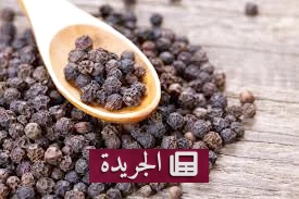 فوائد الفلفل الأسود الصحية لا غنى عنها - آخر الأخبار - الجريدة
