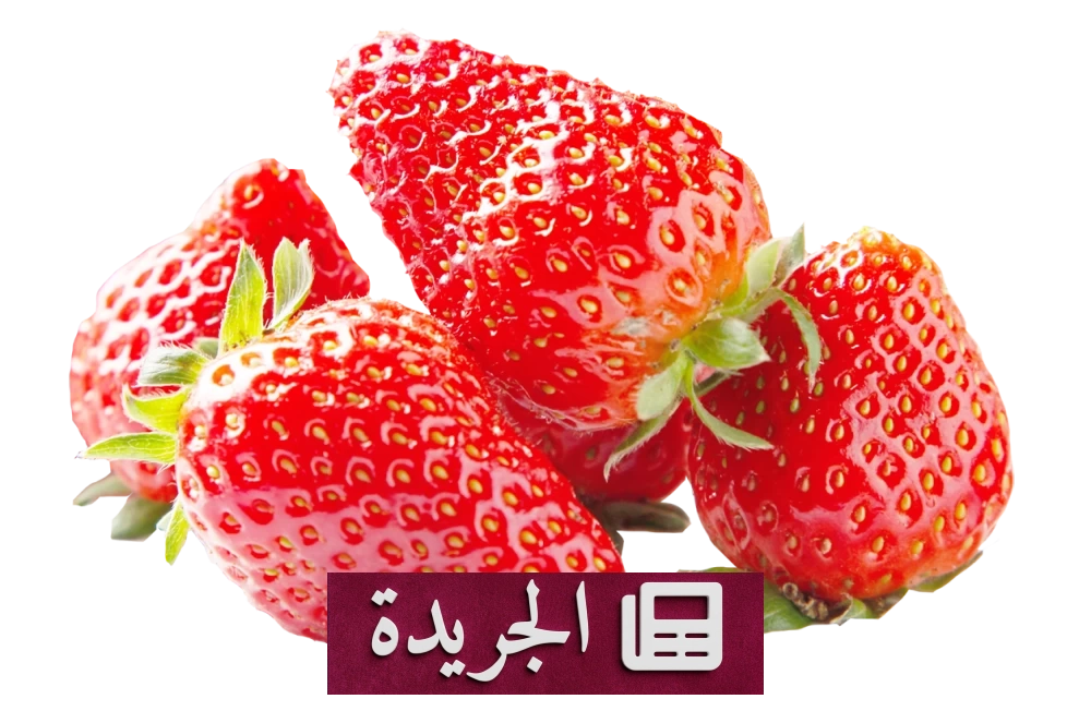فوائد الفراولة الصحية المتعددة لا تقتصر على المذاق اللذيذ - آخر الأخبار - الجريدة