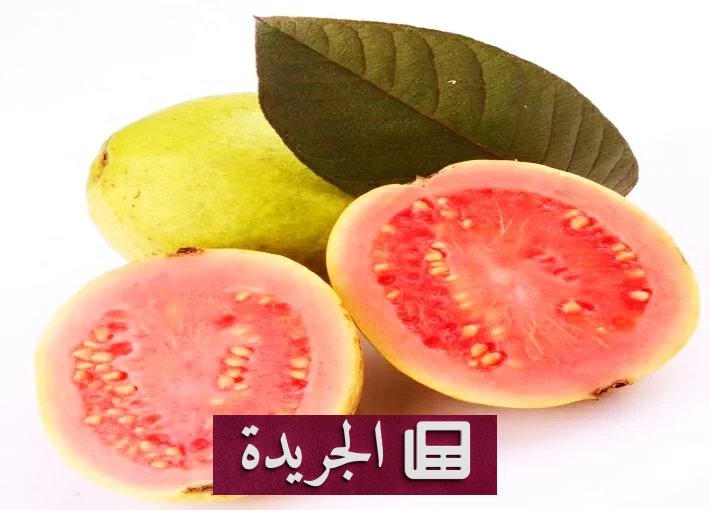 فوائد الجوافة للحامل بين الوقاية من فقر الدم ودعم نمو الجنين - آخر الأخبار - الجريدة