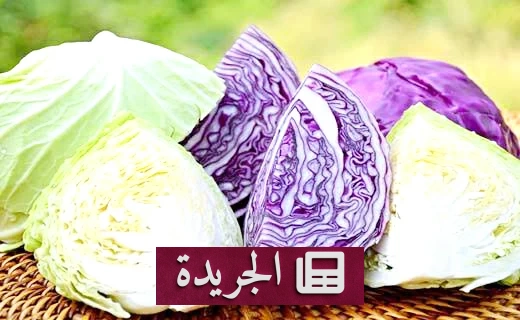 فوائد الملفوف الصحية التي لا غنى عنها لجسمك - آخر أخبار الجريدة