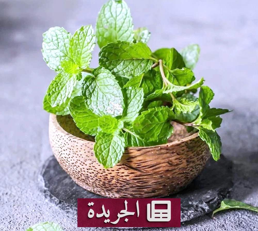 فوائد النعناع الصحية التي لا تعرفها - آخر الأخبار - الجريدة