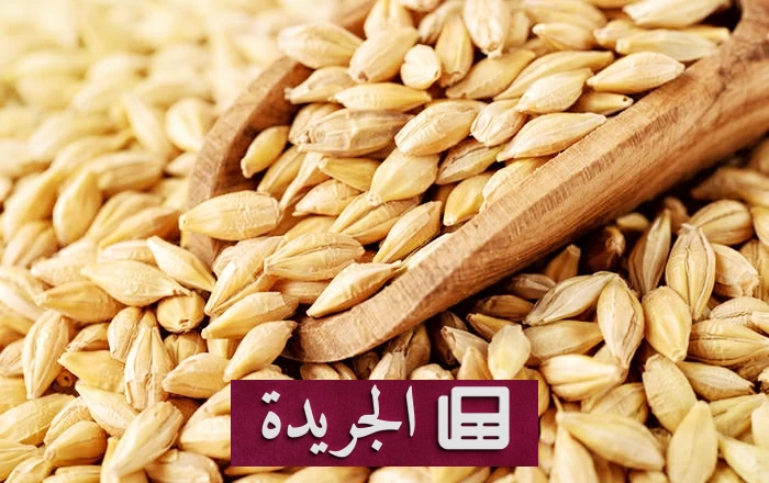 فوائد الشعير الصحية لا غنى عنها - آخر أخبار الجريدة