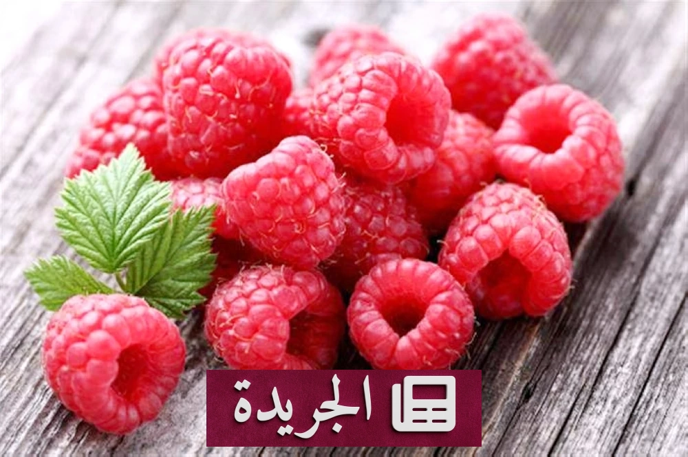 فوائد التوت الأحمر الصحية التي لا تعرفها - آخر أخبار الجريدة