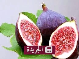 فوائد التين الصحية لا تُعد ولا تُحصى - آخر أخبار الجريدة