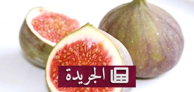 فوائد التين الصحية لا تقتصر على الهضم فحسب - آخر أخبار الجريدة