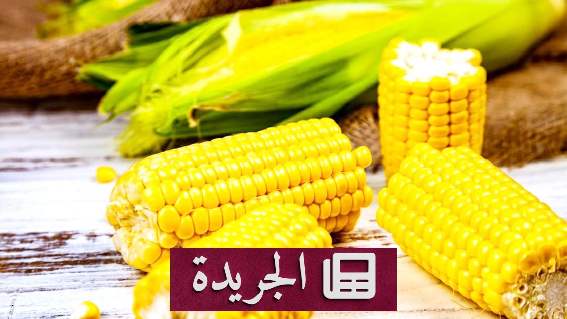 فوائد صحية لا تُعدّ للذرة - آخر الأخبار - الجريدة