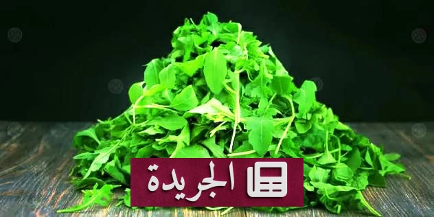 فوائد صحية مذهلة للجرجير لا تعرفها - آخر الأخبار - الجريدة