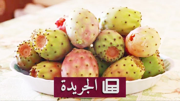 فوائد صحية مذهلة للتّين الشوكي لا غنى عنها - آخر الأخبار - الجريدة